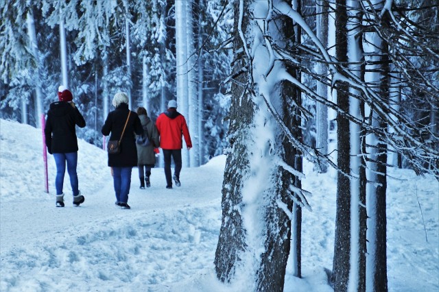 winter-4684890_1280