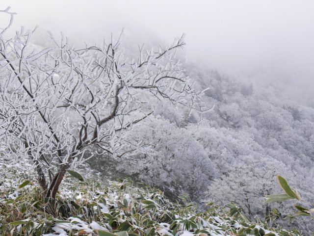 winter-mountain-1976159_1280